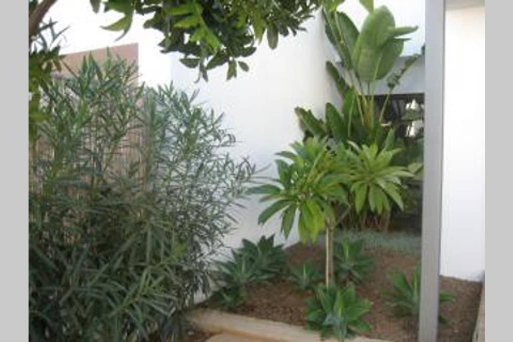 Casa Esparto Rodalquilar Exterior photo